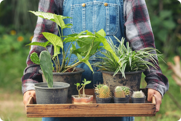Le label Plante Bleue_un critère pour votre sélection de végétaux