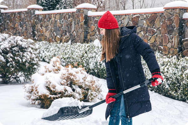 L'entretien annuel du jardin_la purge hivernale obligatoire