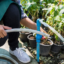 SBR : une qualité de rejet exceptionnelle pour l&rsquo;irrigation
