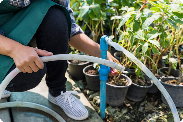 SBR_une qualité de rejet exceptionnelle pour l'irrigation