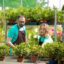 Comment créer un extérieur harmonieux avec une entreprise d’aménagement de jardin ?