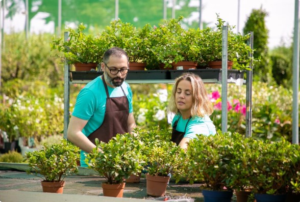 Comment créer un extérieur harmonieux avec une entreprise d’aménagement de jardin