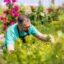 Les services d’un jardinier pour un extérieur soigné toute l’année
