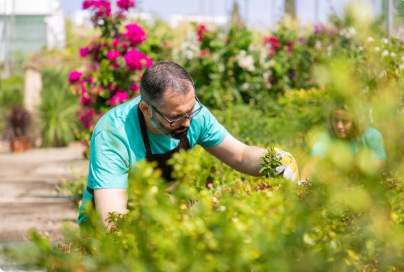 Les services d’un jardinier pour un extérieur soigné toute l’année